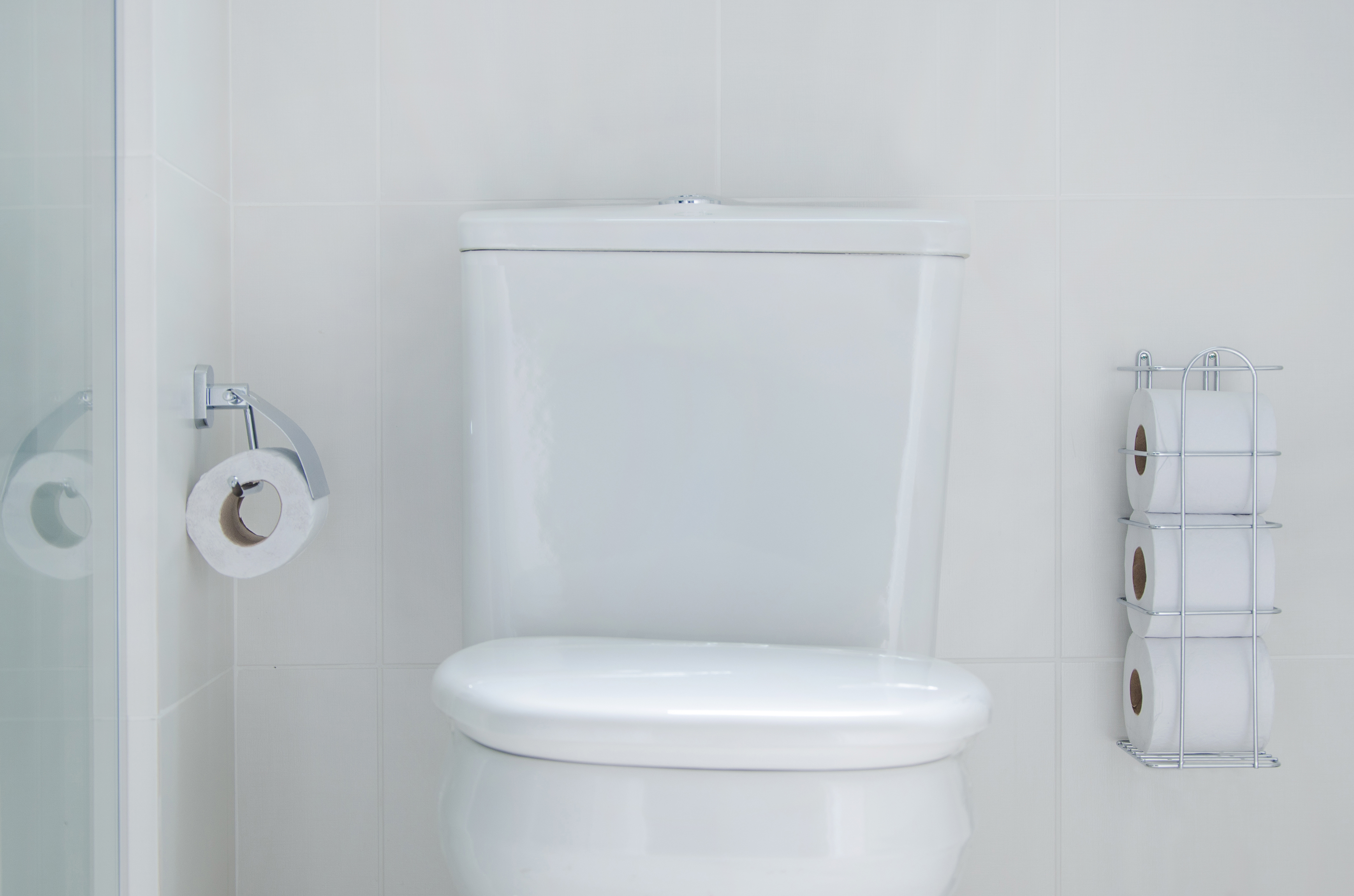 A imagem mostra a área do vaso sanitário de um banheiro. O vaso sanitário está posicionado ao centro da imagem, possui uma caixa acoplada e um assento branco, que está fechado. Na parede ao lado esquerdo da imagem, há um suporte de papel higiênico comum. Já no lado direito, na mesma parede da caixa acoplada, há um porta-papel higiênico prata, que armazena três rolos.