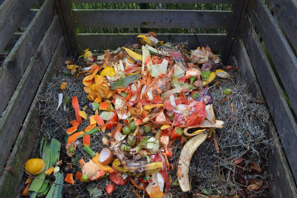 A imagem mostra um caixote de madeira com os restos de algumas frutas e casca de ovo. Esses resíduos estão em cima de algumas folhas secas, processo que é realizado para obter adubo com a compostagem. 