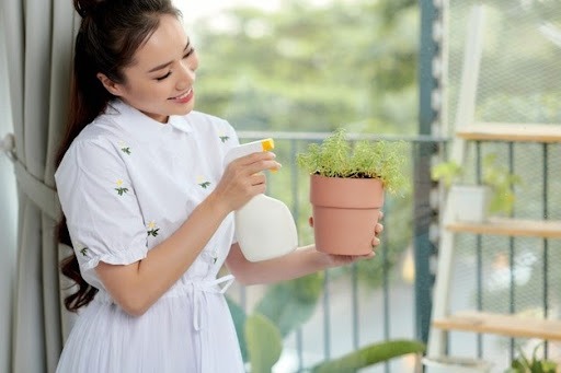 Uma mulher, com cabelo escuro e liso. Ela veste roupa branca, rega plantas caseiras com um borrifador, seguindo o conceito de horta em casa e hortoterapia. O vaso está na mão da mulher e dentro estão pequenas plantas. O fundo aparenta ser uma sacada. 