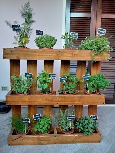  Diversos vasos pequenos com plantas e temperos estão em um pallet e parecem uma horta vertical. 