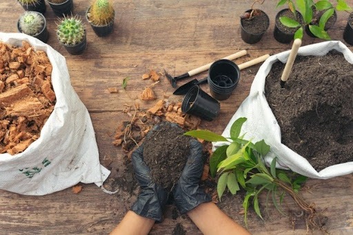 Mãos com luvas plásticas pretas, segurando um punhado de terra, entre dois sacos, um com terra e outro com cascalho, sobre uma mesa de madeira. Também estão à mesa pequenos vasos vazios ou com pequenas plantas.