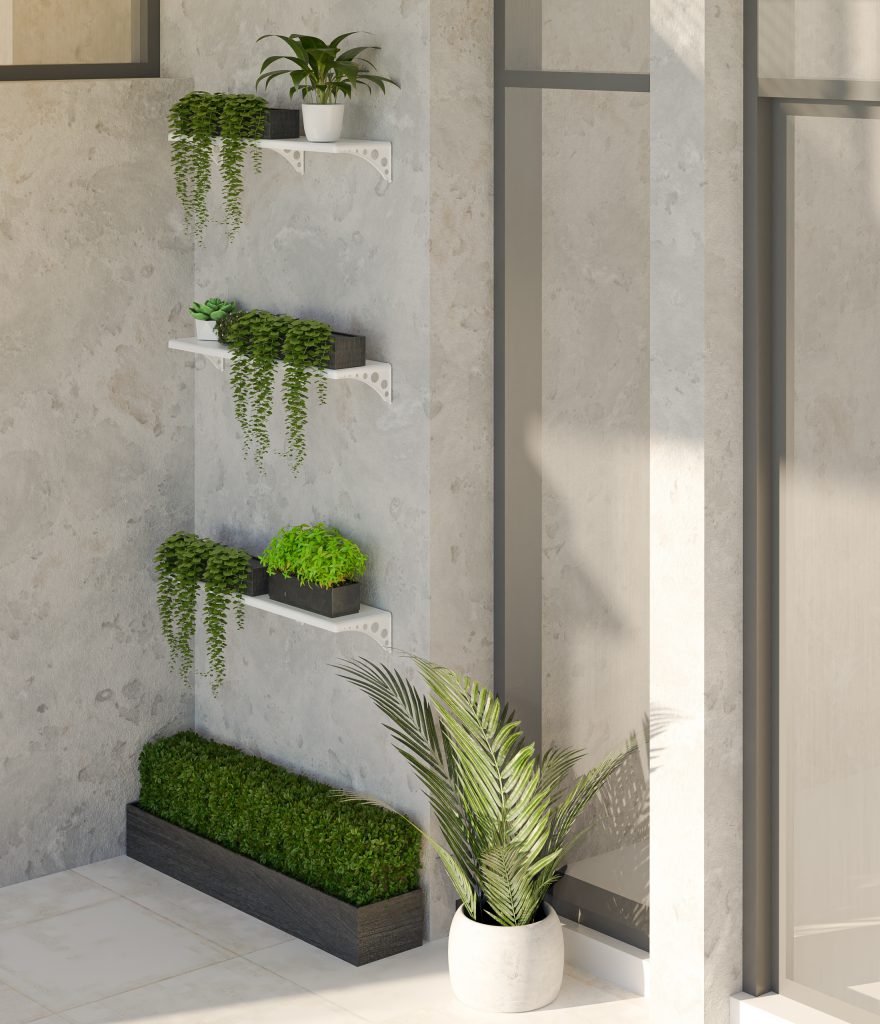 Várias plantas dispostas em prateleiras brancas fixadas em uma parede clara com aparência de cimento queimado.