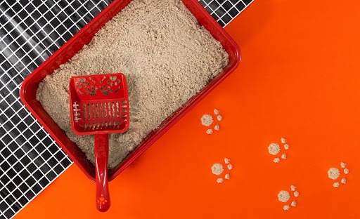 Uma caixa de areia vermelha. Dentro dela, uma pá higiênica da mesma cor e areia comum. Estão sobre um chão em uma parte com ladrilho preto e outra parte laranja. Esta última parte tem marcas de patas de gato feitas de areia. 