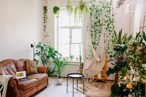 Uma sala de paredes brancas está toda decorada com plantas de chão e plantas pendentes. Nela também há um sofá de couro marrom encostado na parede do canto esquerdo, uma balança de tecido de rede branca e algumas prateleiras no canto direito, na qual há mais plantas.