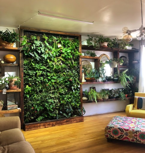 Uma sala de estar moderna, com piso de madeira, sofá e poltrona. A parede em destaque tem um jardim vertical e várias plantas espalhadas por diferentes prateleiras, em meio a decorações e espelhos.