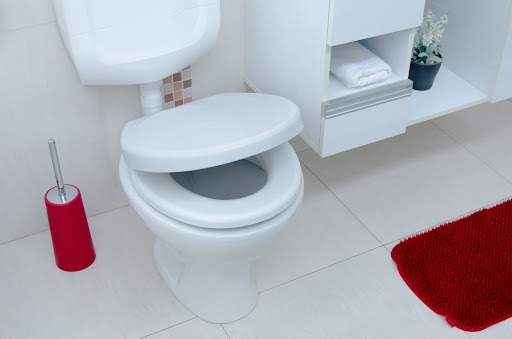  Vista parcial de um banheiro, onde estão um vaso sanitário branco, uma escova sanitária vermelha, um pedaço de um armário branco e um tapete vermelho.