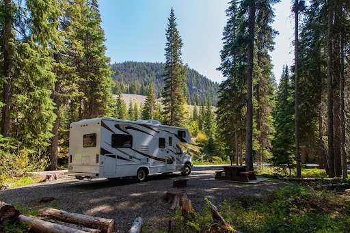 A imagem apresenta um motorhome na cor branca em uma área florestal, com o ambiente todo verde e o céu claro.