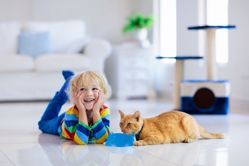 Em uma sala de estar, temos uma criança sorrindo ao lado de um gato, que está tomando água em um bebedouro na cor azul. Ambos estão deitados no chão.